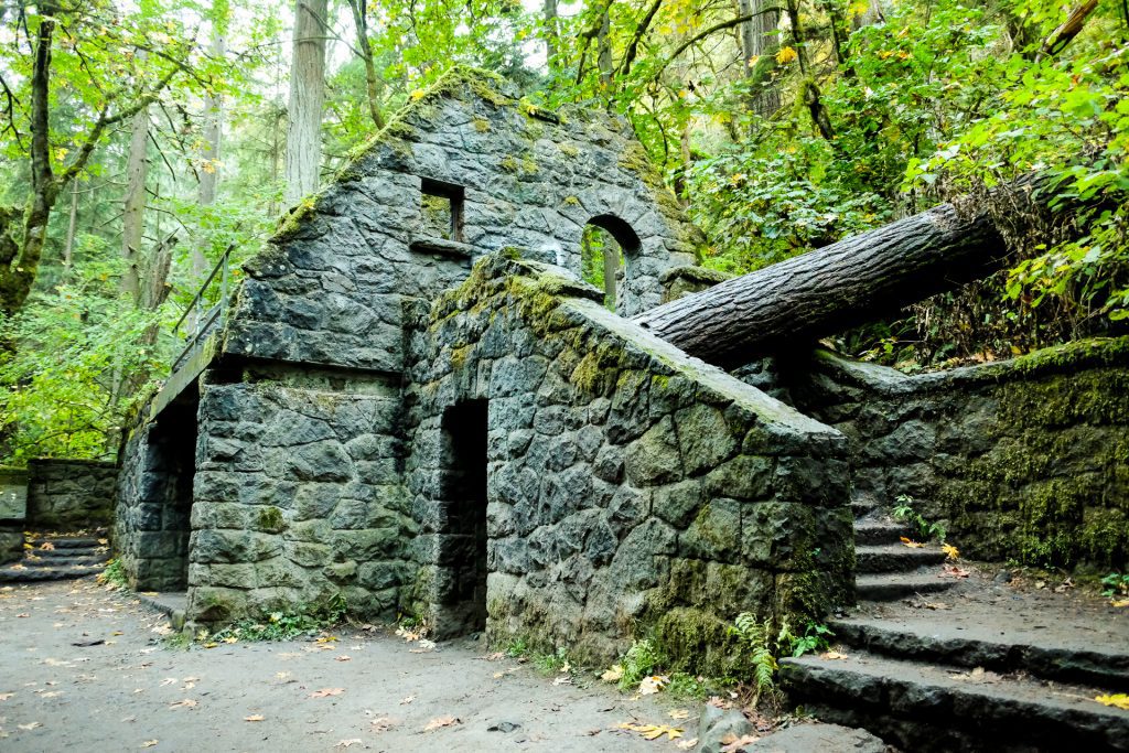 Forest Park Wildwood Trail Portland Oregon