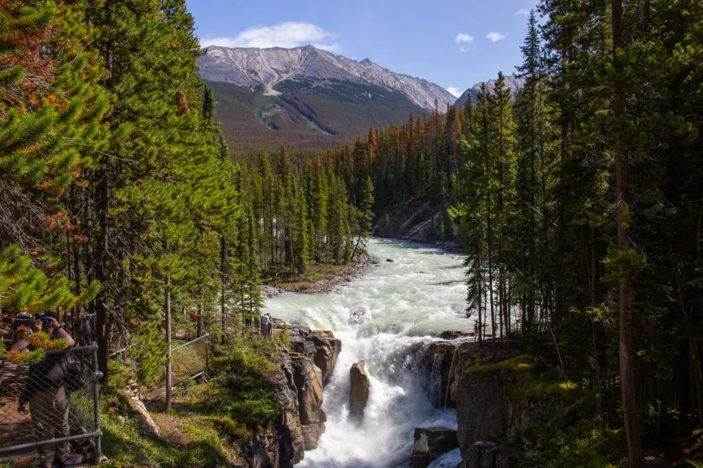 Sunwapta Falls, Jasper