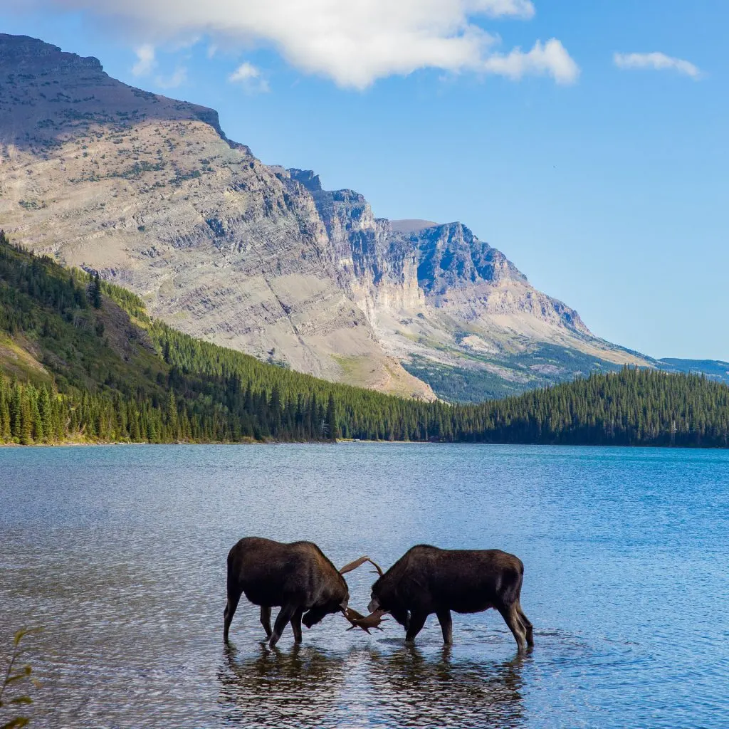 Hiking in Glacier National Park