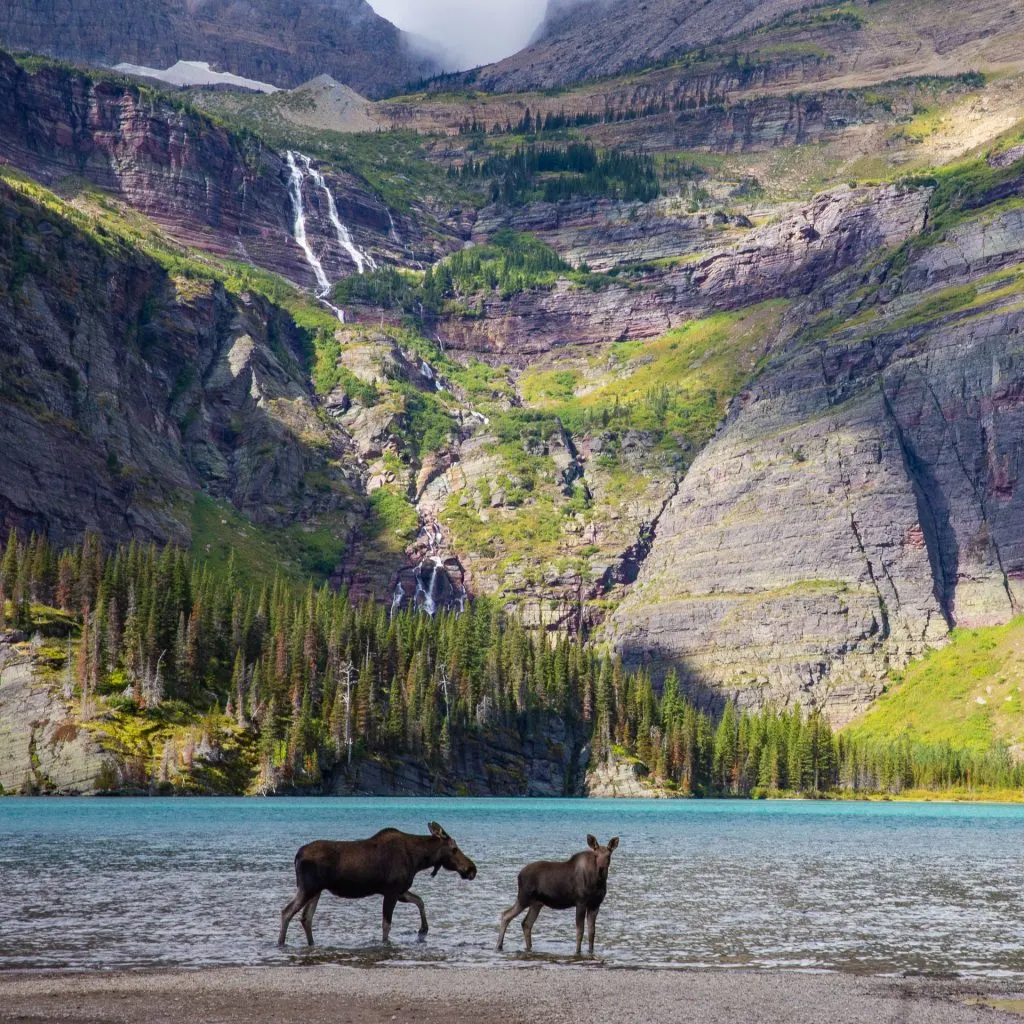 Hiking in Glacier National Park