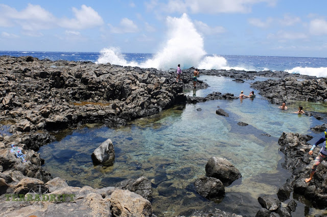 Reef Friendly Vegan Mineral Sunscreen