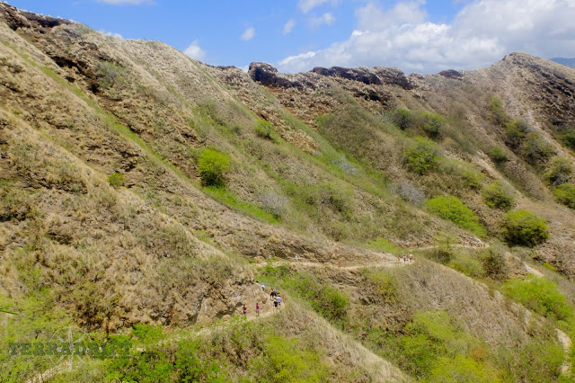The trail up Diamond Head is less arduous than Koko Head, but enjoyable and worth the time and effort