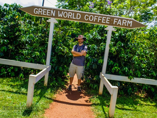 Fancy coffee? Take a stroll through Green World Coffee's coffee garden after you have a cup