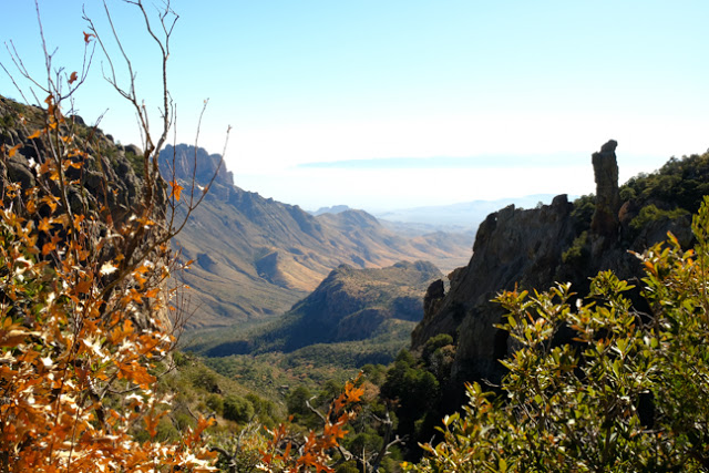 Book Canyon South Rim Big Bend