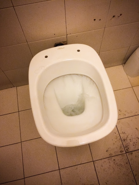 no seat toilet italy
