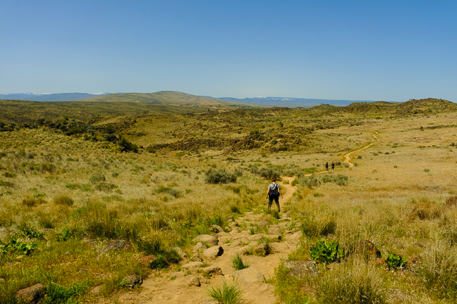 Cowiche Canyon in Yakima, Washington is a prime example of the desert landscape