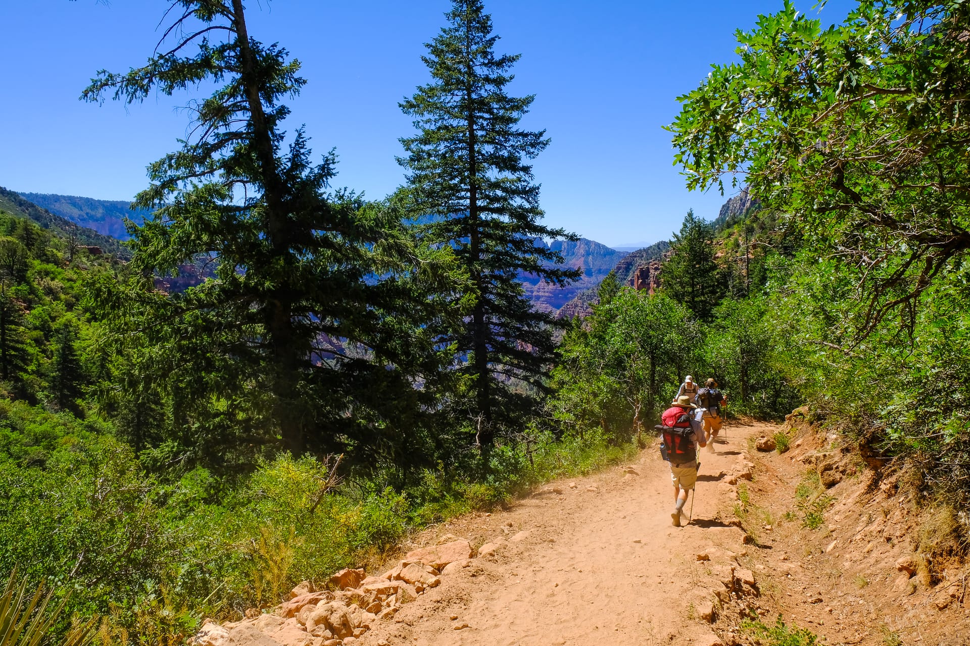 backpacking gear