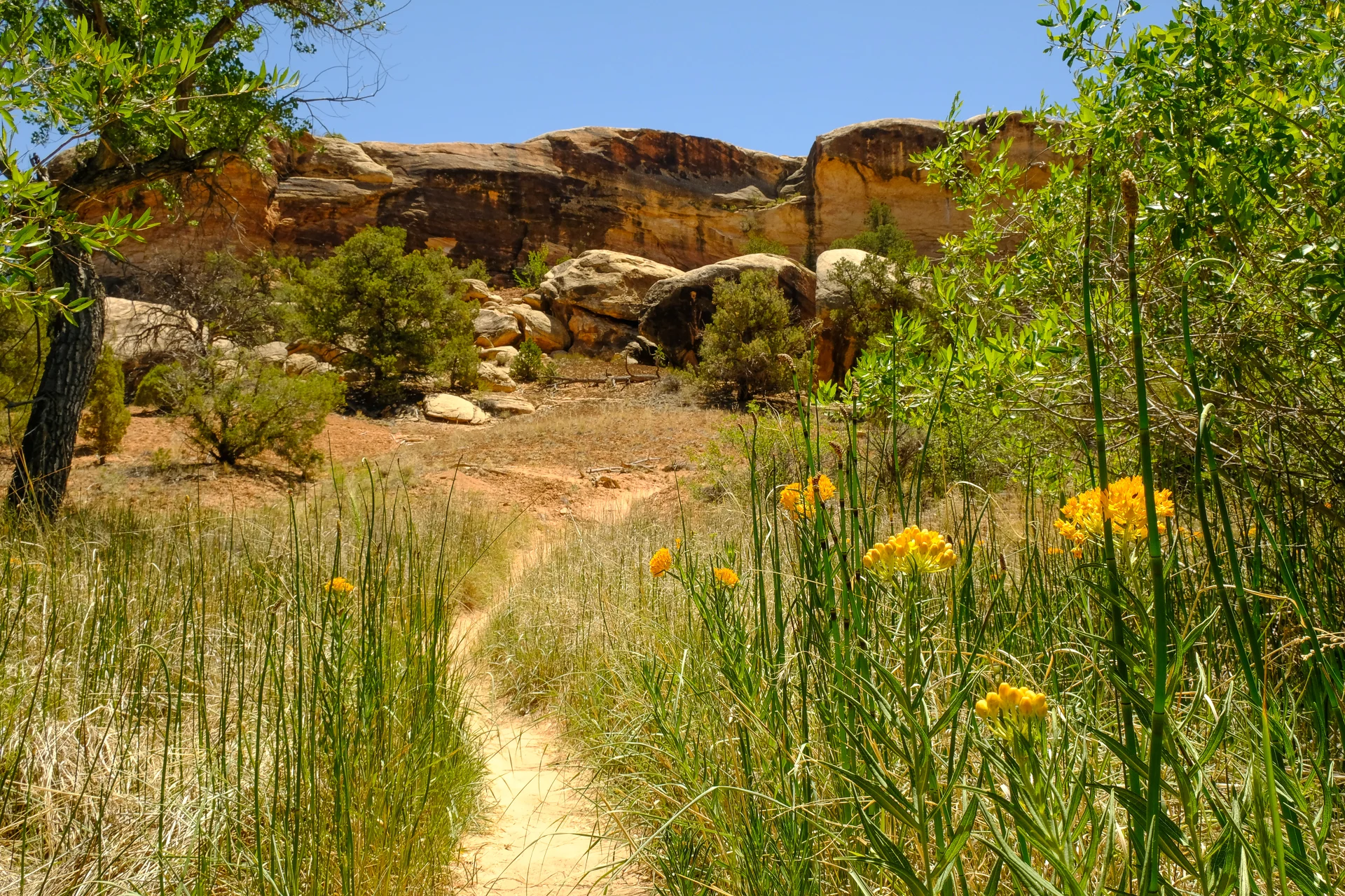 Day hiking in Canyonlands National Park