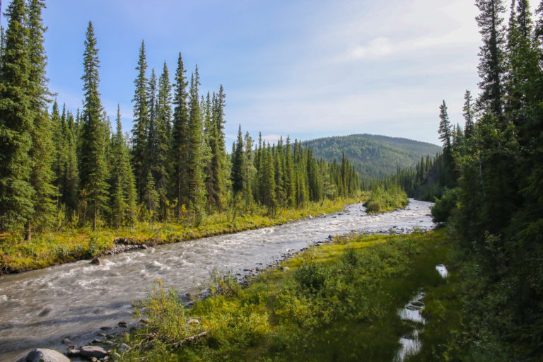 Backpacking in Denali National Park
