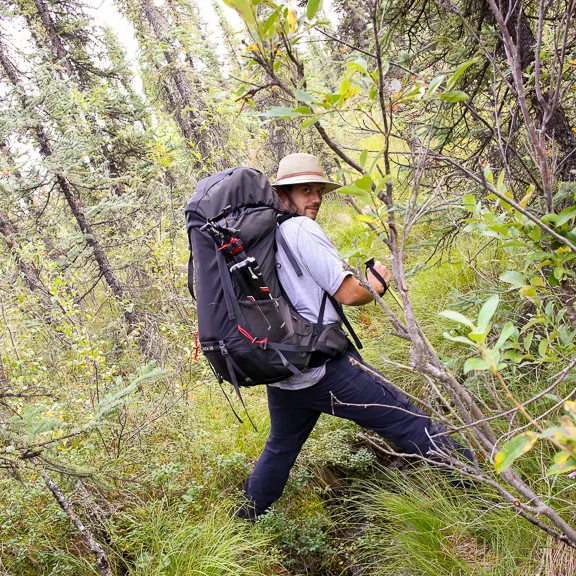 A man backpacking in Denali national park