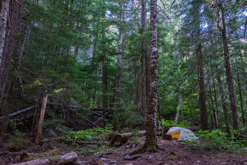 tent in the woods in North Cascades National Park.