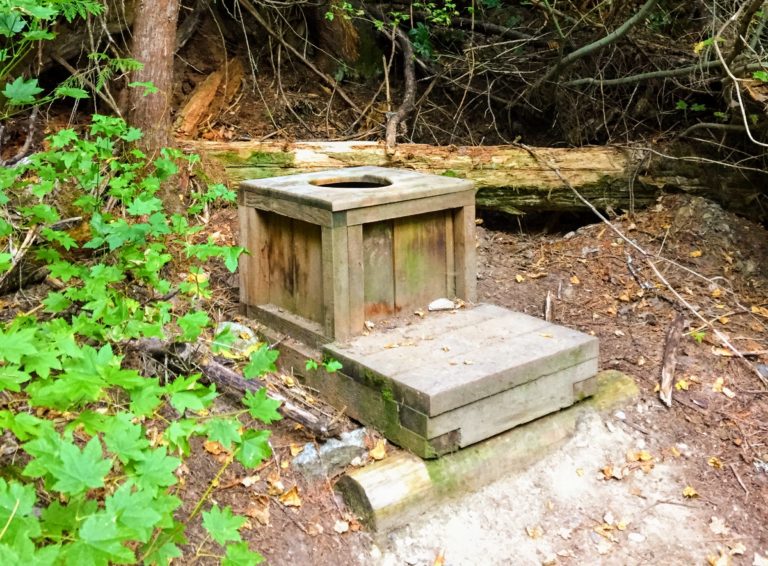How to pee in the woods