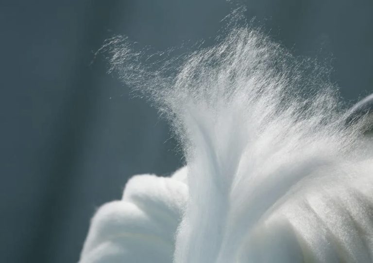 Sustainable Fabrics: Lyocell – What is Lyocell