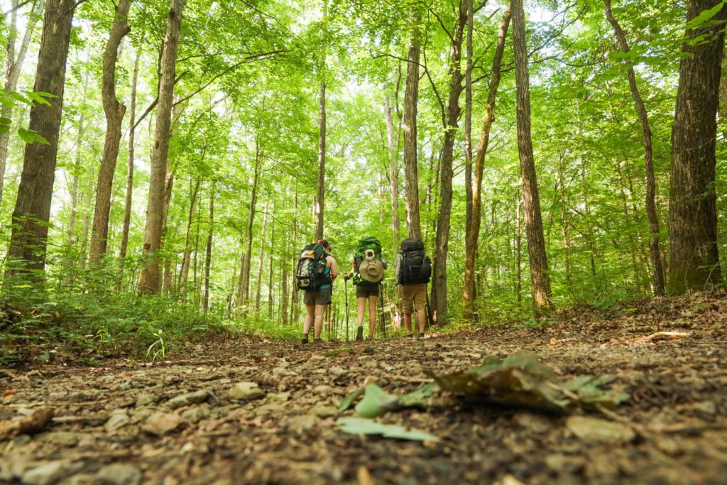 backpacking 101: three hikers in the woods