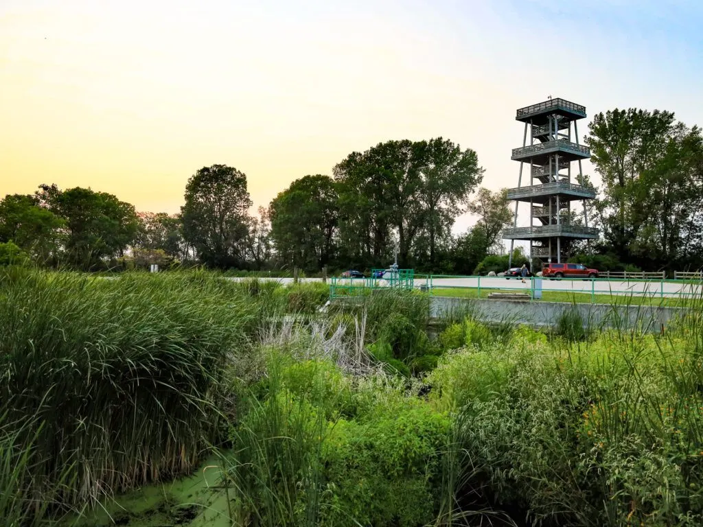 Marsh Observation Tower