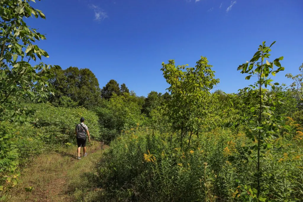 Rocky Knoll Trail