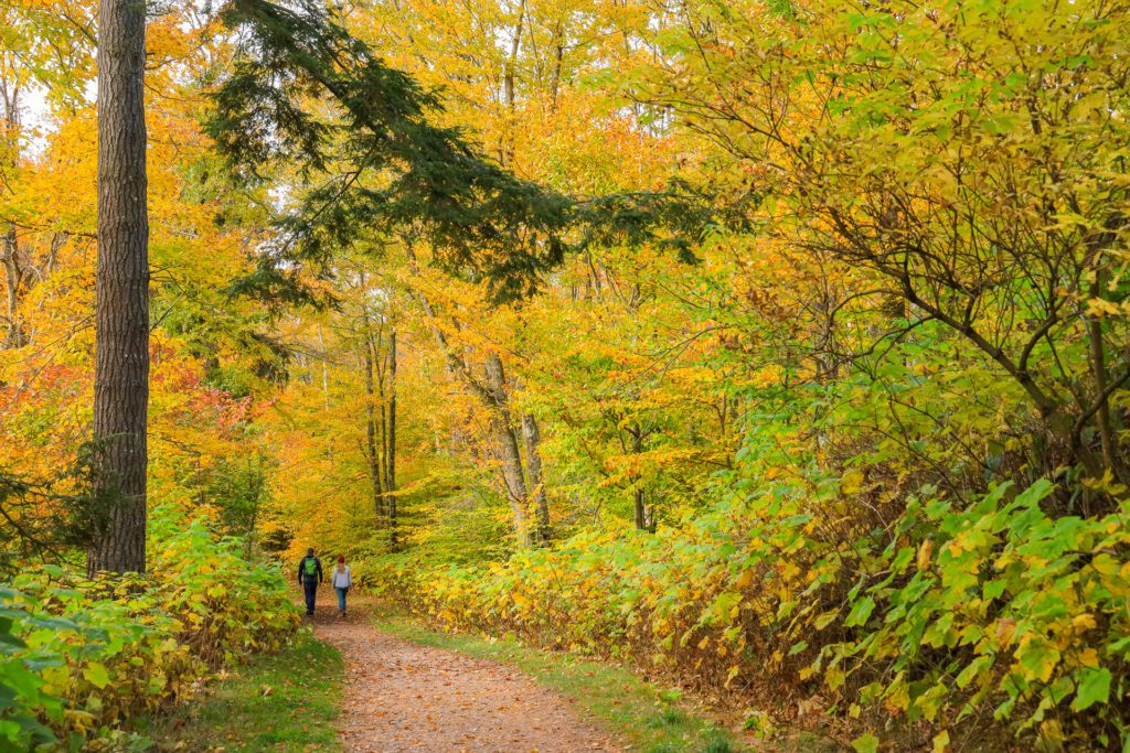 Hiking through fall colors at Whitefish Dunes State Natural Area.