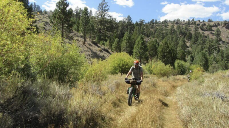 intro to bikepacking, mountain biking down a meadow trail
