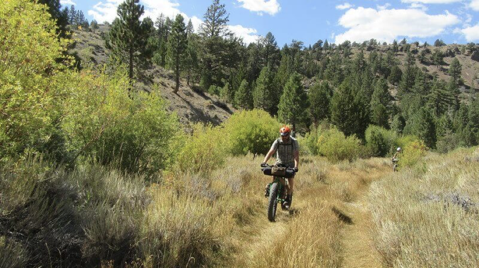 intro to bikepacking: Bikepacking on a meadow path on fat tire bikes