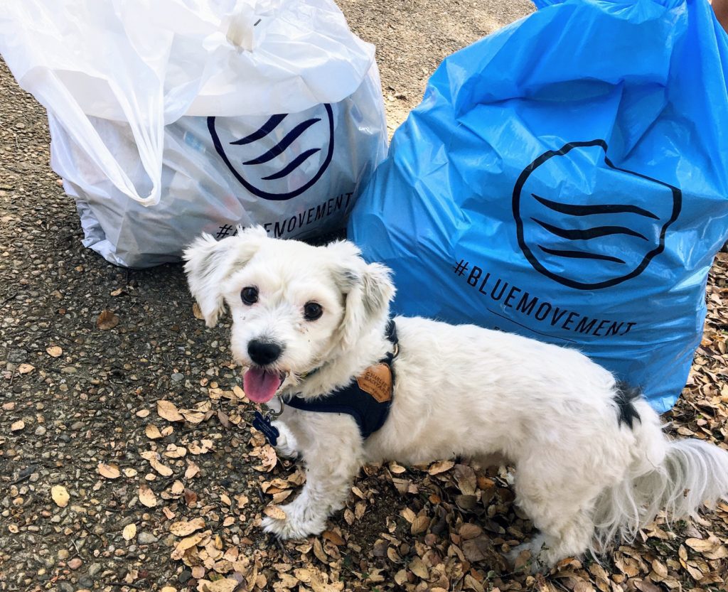 Sustainability Hacks for camping: pick up waste around the campsite.