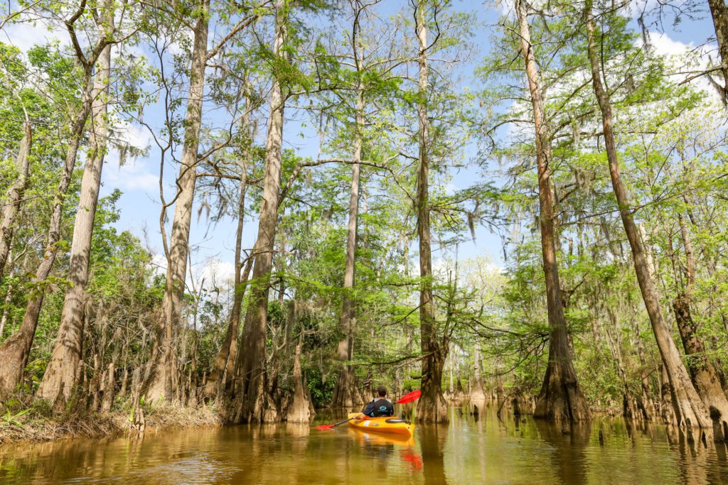 things to do outdoors in Beaumont, TX: Kayaking on the Cook's Lake to Scatterman Paddle Trail.