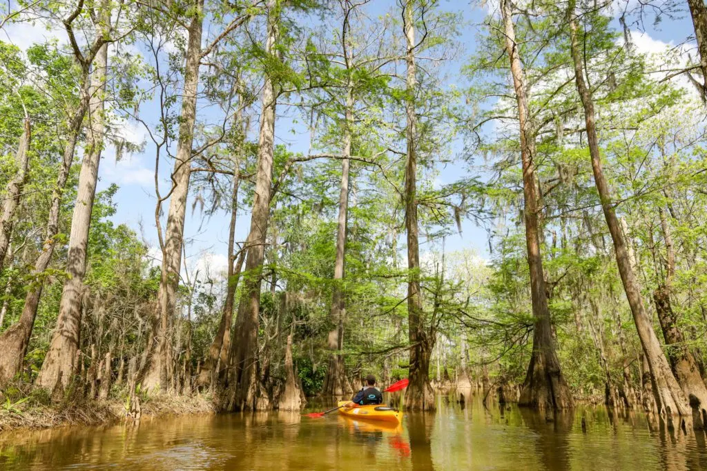 Surprising Destination Things to do Outdoors in Beaumont Texas