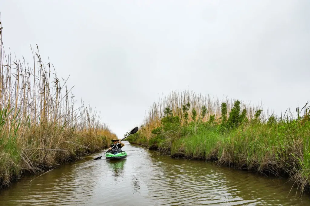 things to do outdoors in Beaumont, TX: kayaking in Sea Rim State Park.