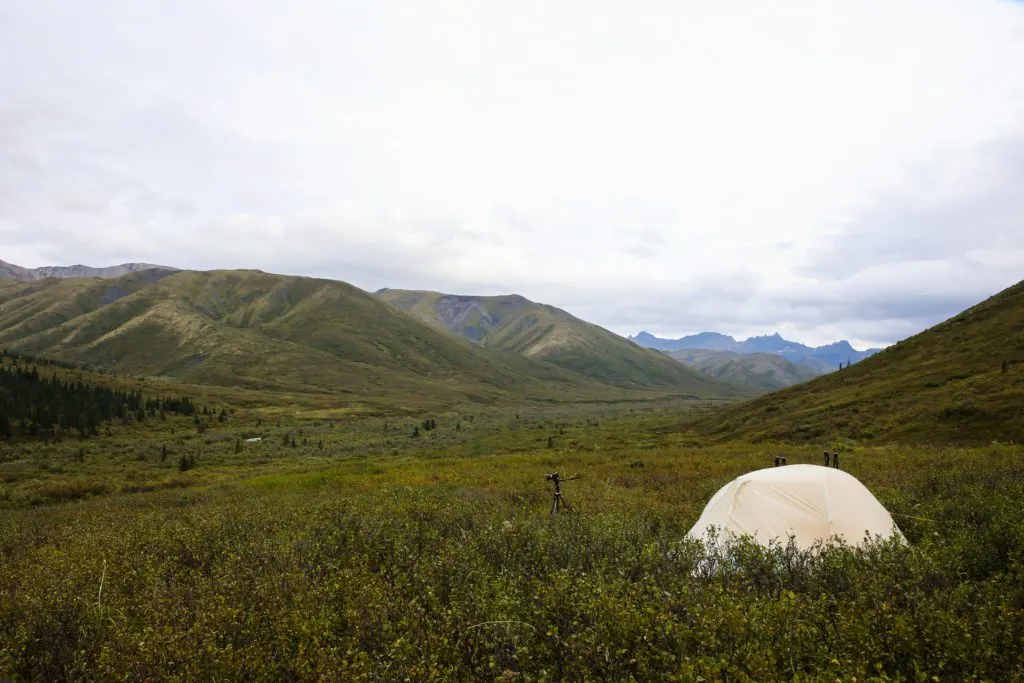 A campsite with a view in Denali National Park, Alaska