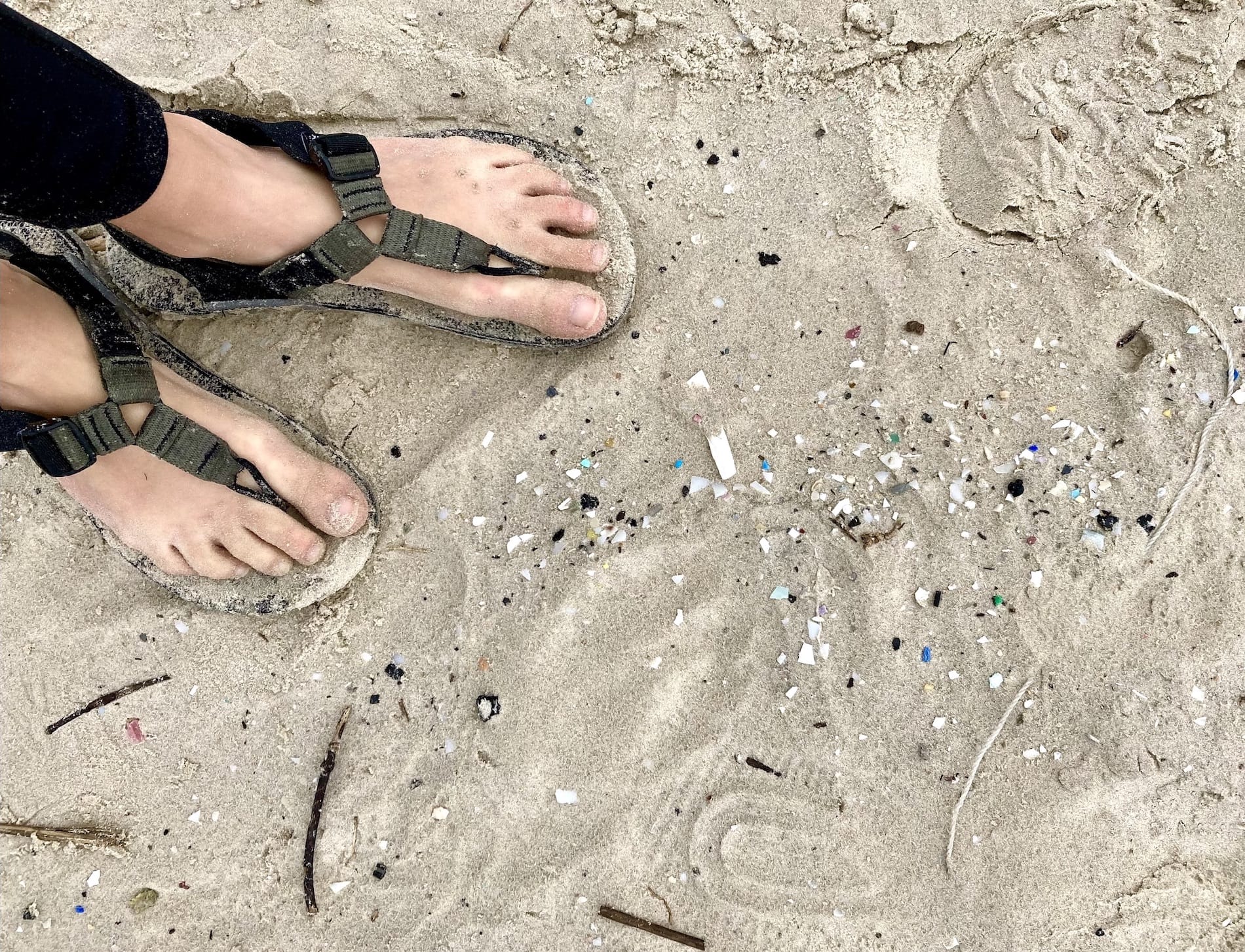 plastic free July: micro plastic on the beach