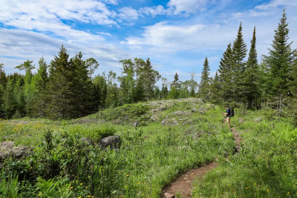 Josh in a field surrounded by trees as we backpack Isle Royale National Park