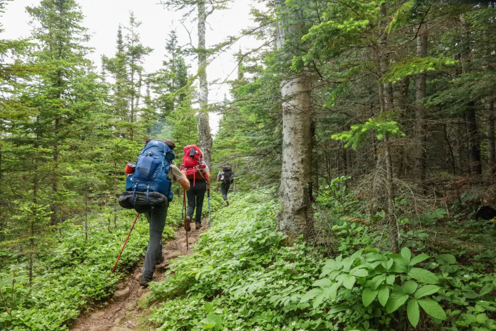 A line of hikers Backpacking Isle Royal.