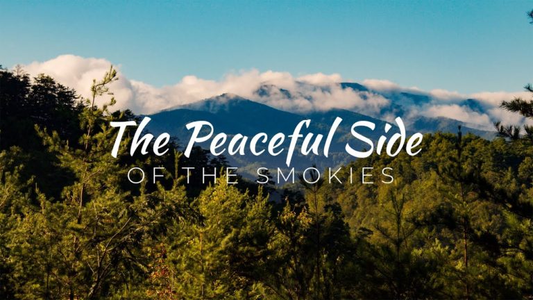 Beat the Crowds on the Quiet Side of Great Smoky Mountains National Park