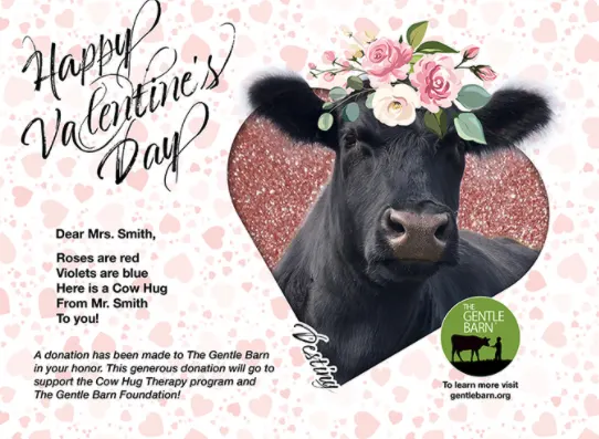 Valentine's Day Gifts: Valentin'es Day card from The Gentle Barn with a photo of a cow.