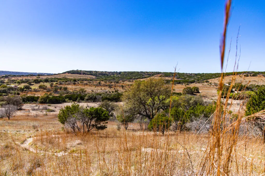 A view from the trail at Balcones Canyonlands in Burnet County.