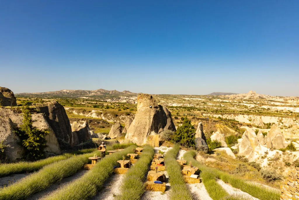 A Wish Tiny House picnic in lavender fields in Cappadocia, Turkey.