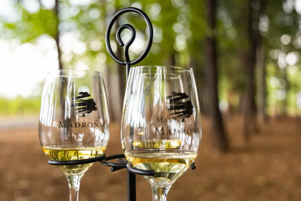 Glasses of wine under the trees at Madroña Vineyards.