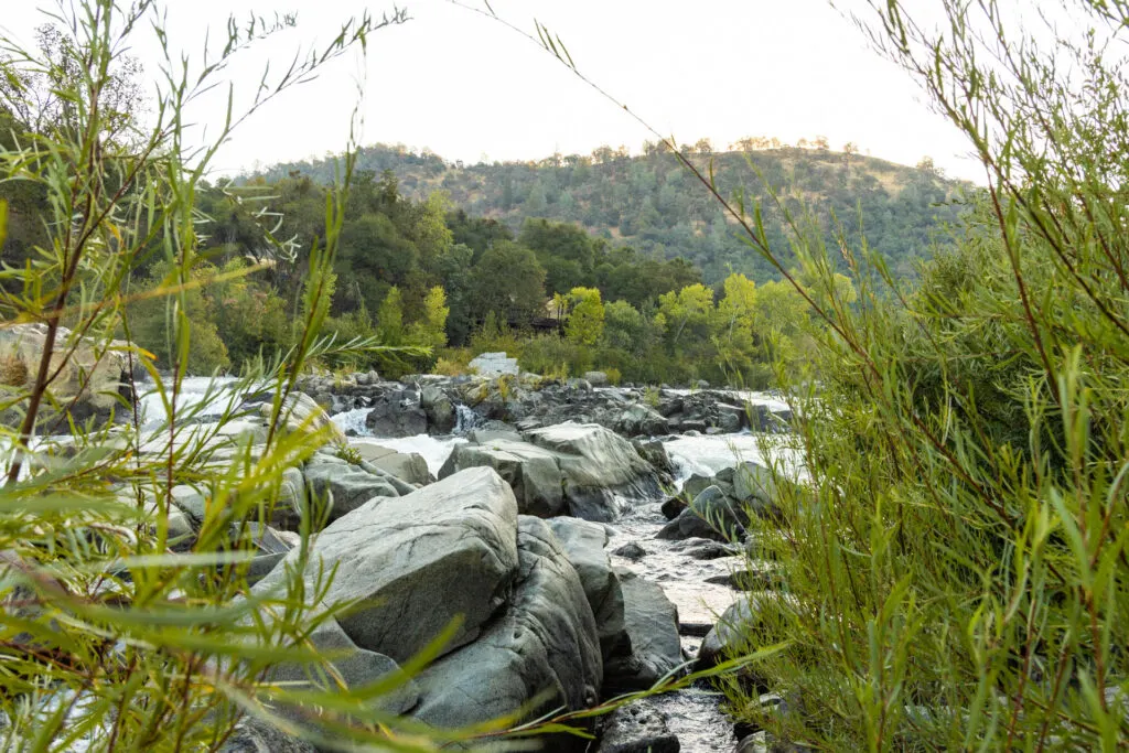 A view of the South Fork from American River Resorts.