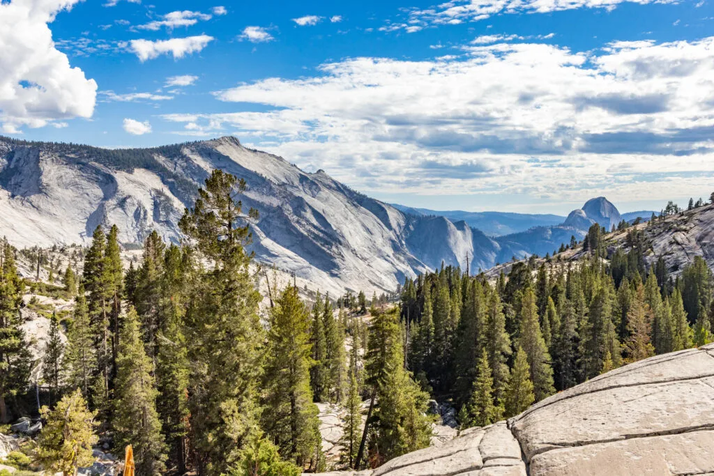 A view of Yosemite National park with pines, valleys, and mountains.