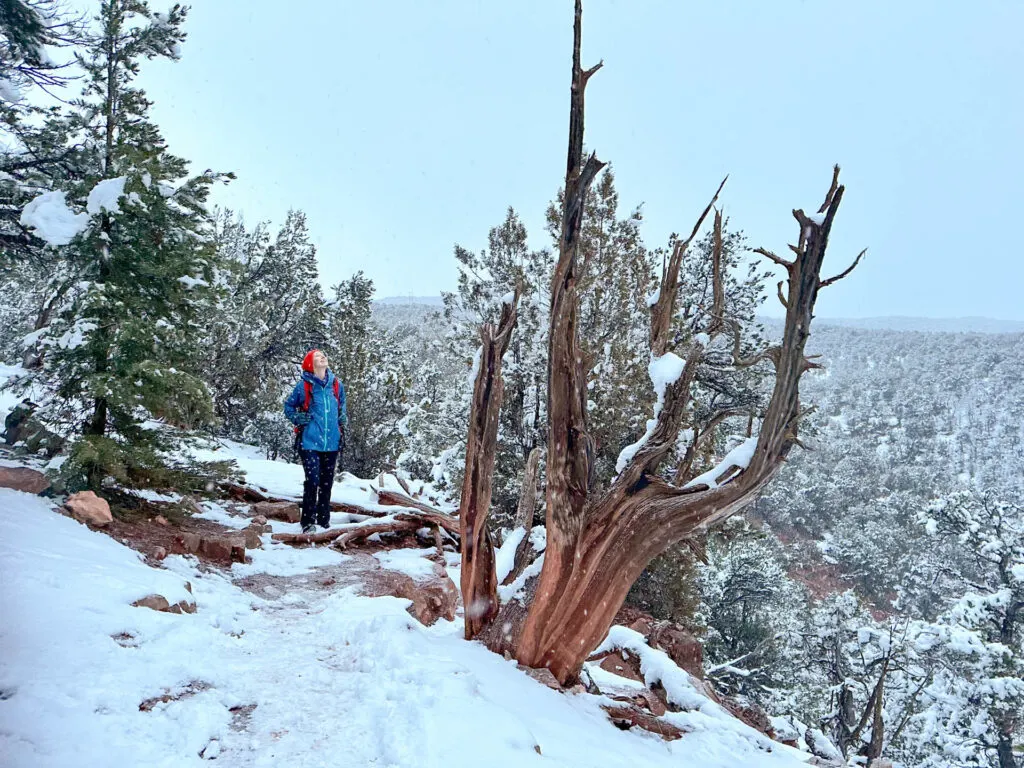 A woman hiking at Red Hill in Carbondale, Colorado.