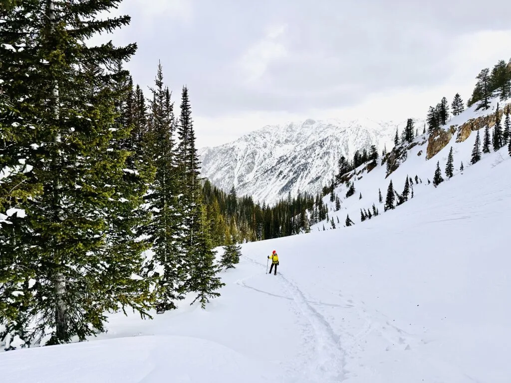 a hiker snowshoes near Salt Lake City with pines and mountains in the background.