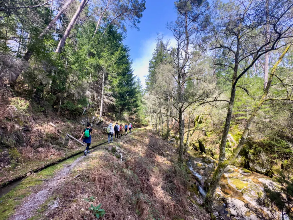 Walking along the Levada do Vilarinho.