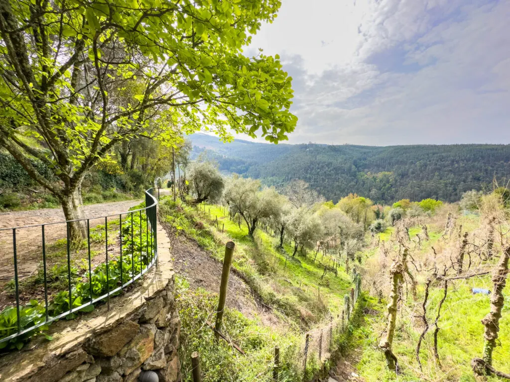 A view of the vineyards at Quinta das Escomoeiras winery.