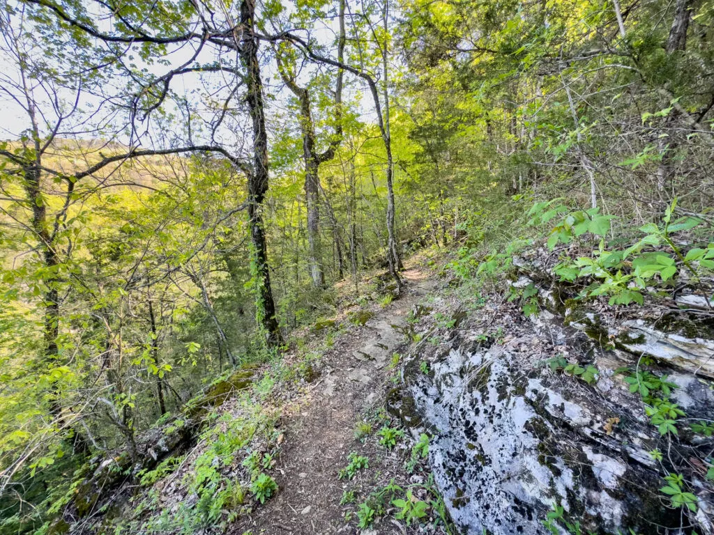 A meandering, partly shaded path on the Buffalo River Trail.