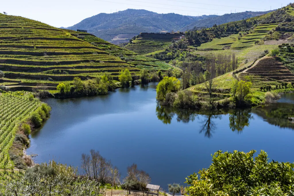 The view at Quita do Tedo winery.