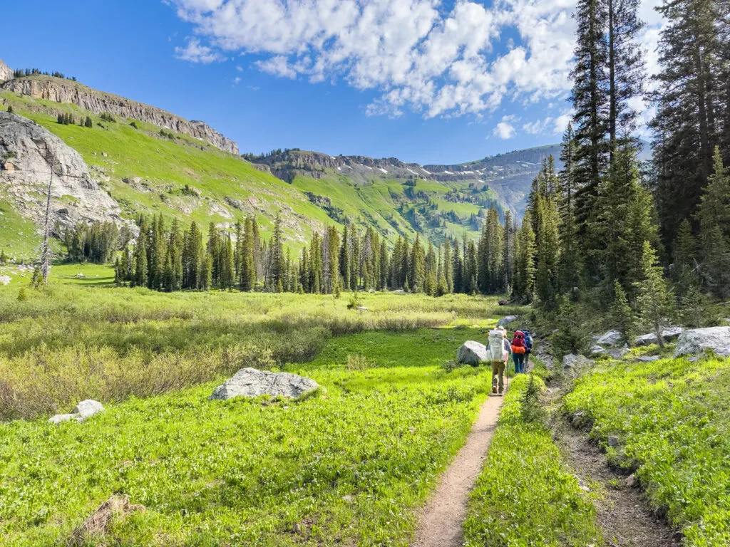 Backpacking in Death Canyon in Grand Teton National Park with the Granite Gear Crown 3. Three backpackers walk down a trail surrounded by pine trees and mountains.