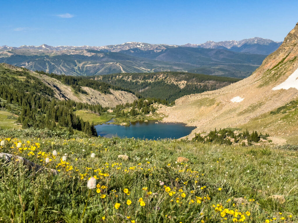 An alpine lake with mountains in the background surrounded by fields of wildflowers.