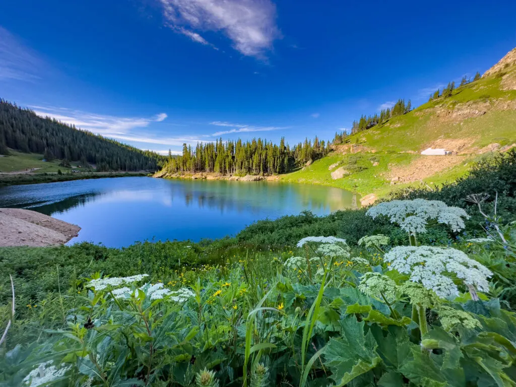 An alpine lake with flowers in the foreground.