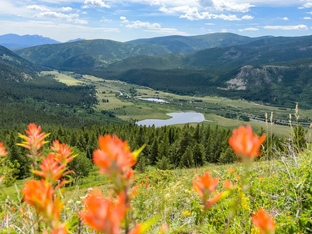 Backpacking in Colorado during the Fjallraven Classic USA: flowers in the foreground and mountains and lakes beyond.