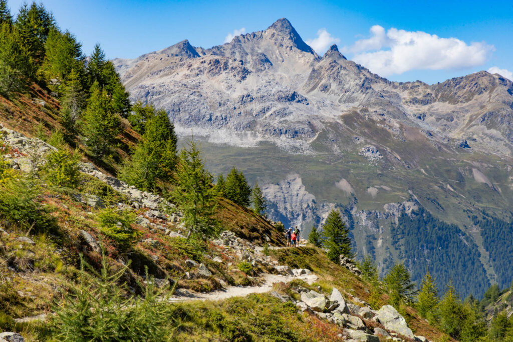The Swiss Alps as seen from the Panorama Trail in the Engadin.