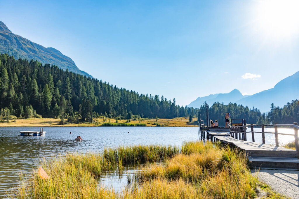 Lej de Staz in Celerina: A lake surrounded by pine trees and mountains with a platform for jumping into the water.